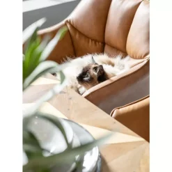 Armlehnstuhl Thinktank Braun