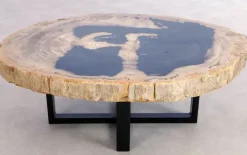 Beistelltisch Alpha Versteinertes Holz