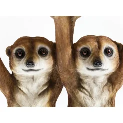 Beistelltisch Animal Meerkat Sisters O33Cm