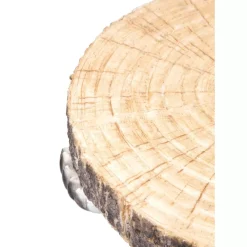 Beistelltisch Animal Polar Bear O37Cm