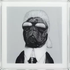 Bild Frame Mirror Designer Dog 60X60