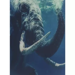 Bild Glas Swimming Elephant 180X120Cm