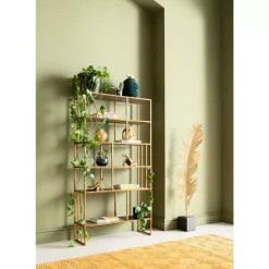 Deko Dose Chameleon 34