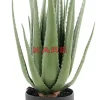 Deko Pflanze Aloe 69Cm
