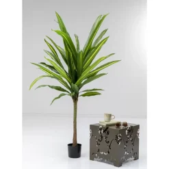 Deko Pflanze Dracaena Fragrans 180Cm