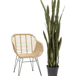 Deko Pflanze Sansewieria 155Cm