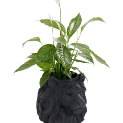 Deko Ubertopf Lion Schwarz