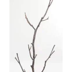 Garderobenstander Tree Branch 183Cm
