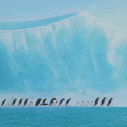 Gerahmtes Bild Walking Penguins 140X140Cm