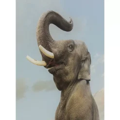 Glasbild Balance Elephant 150X100Cm