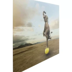 Glasbild Balance Elephant 150X100Cm