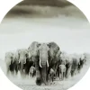 Glasbild Elephant Walk O120Cm