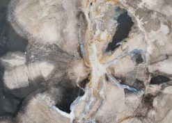 Platte Elfenbos Versteinertes Holz