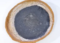 Platte Stone Age Versteinertes Holz