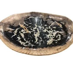 Platte Windmolen Versteinertes Holz