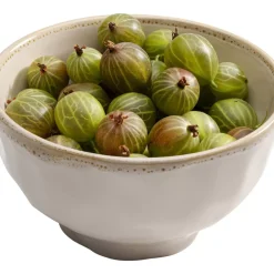 Schale Natural O15Cm