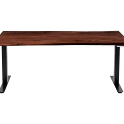 Schreibtisch Office Harmony Dunkel 200X100