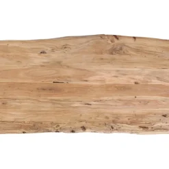 Tisch Harmony Silber 200X100