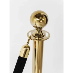 Vip Stander Vegas Gold (1 St.)