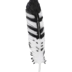 Wandobjekt Quill 77X18