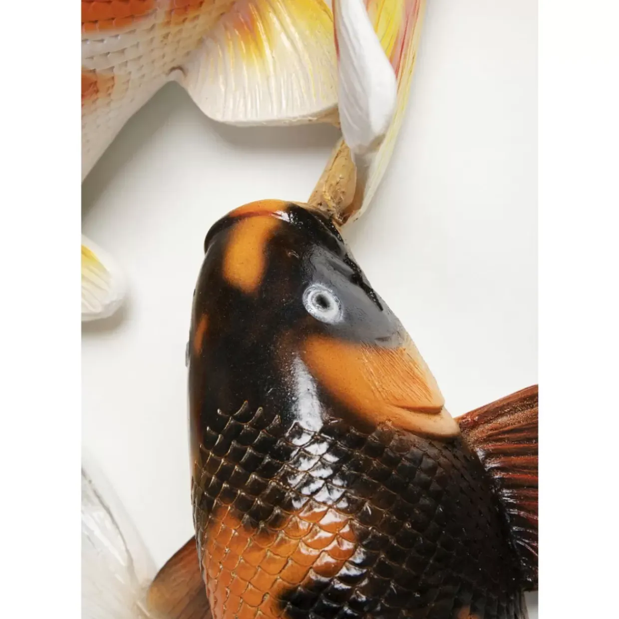 Wandobjekt School Of Koi Colore O102Cm