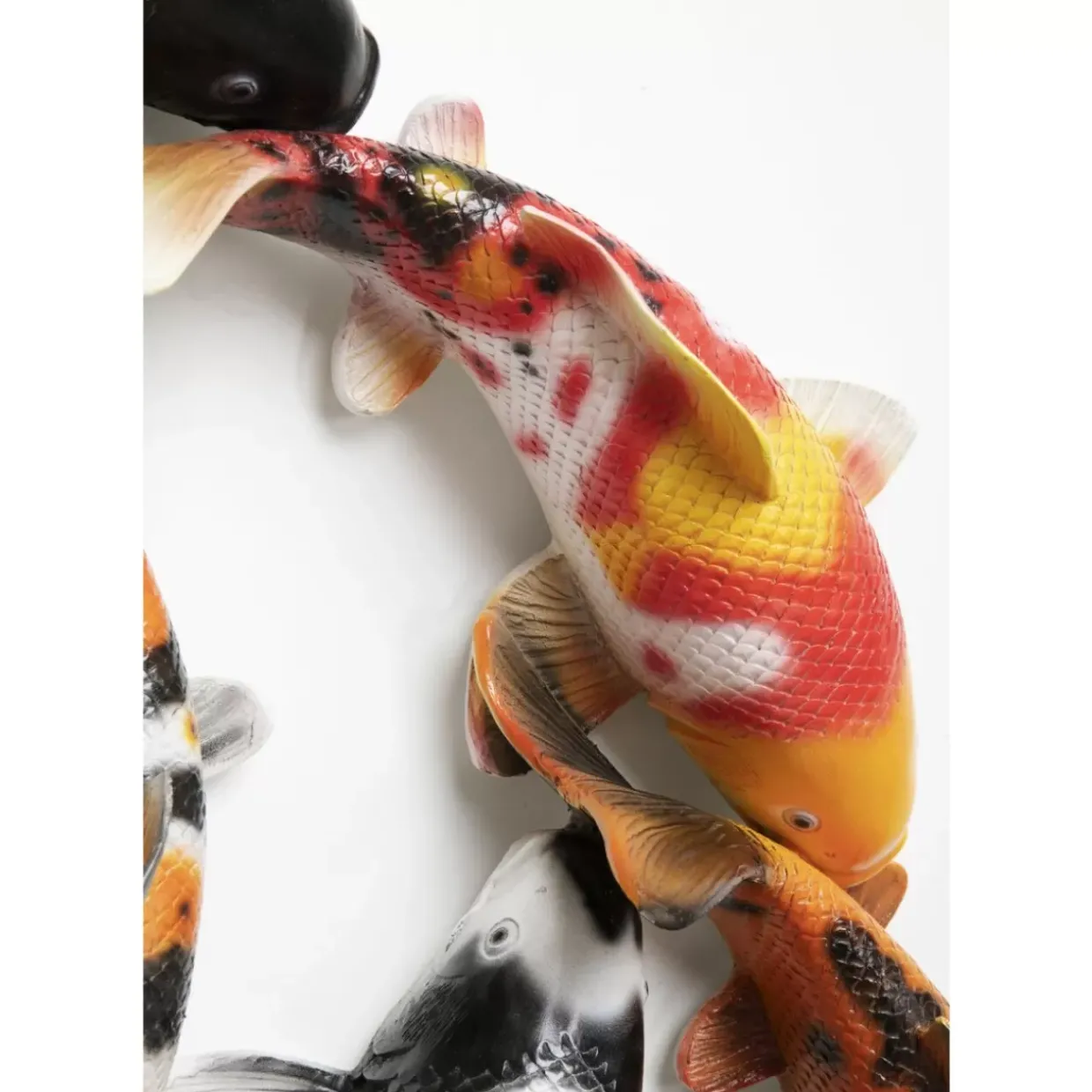 Wandobjekt School Of Koi Colore O102Cm