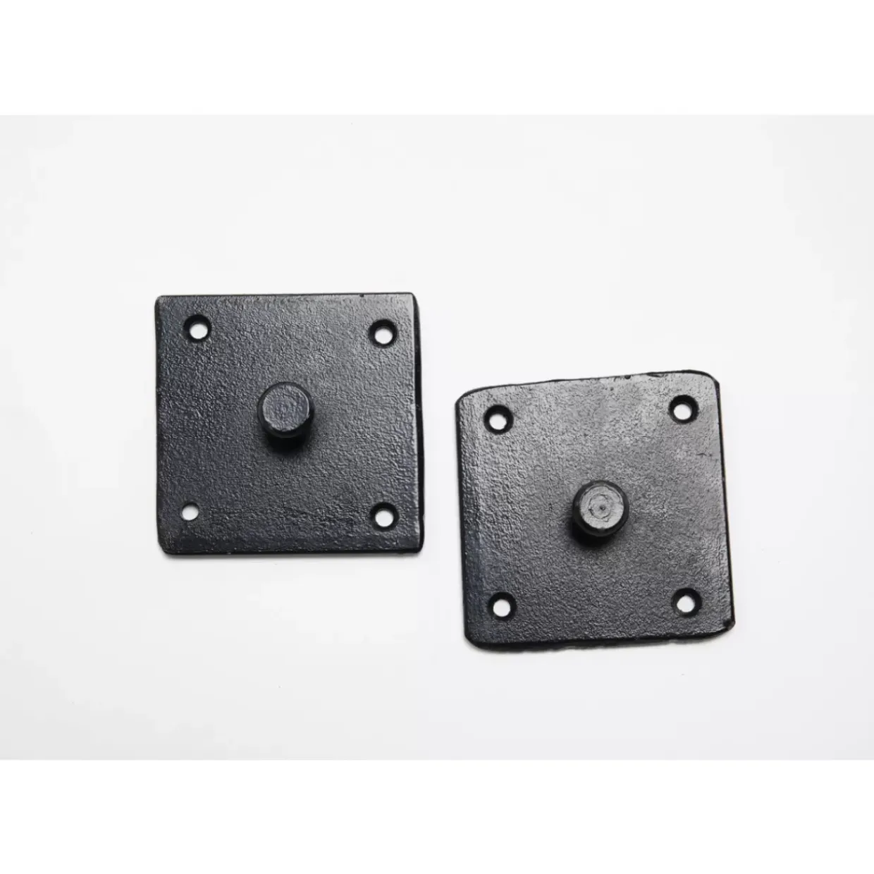 Wandobjekt School Of Koi Colore O102Cm