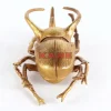 Wandschmuck Atlas Beetle Gold