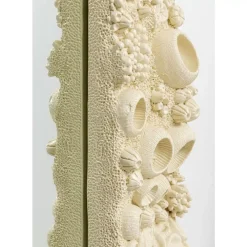 Wandspiegel Coral Reef 97X178Cm