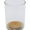 Wasserglas Electra Gold 11Cm